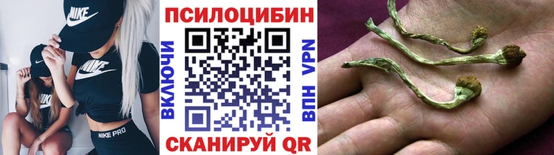 наркота  Сосенский  Галлюциногенные грибы Magic Shrooms 